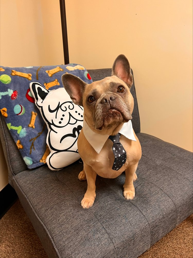 Livengrin Foundation - grief counselor in Bensalem, PA