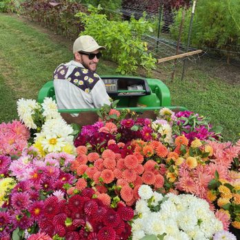Irvington Spring Farm - Florists Near Me - Lynchburg, Virginia Irvington Spring Farm - Florists Near Me - Lynchburg, Virginia