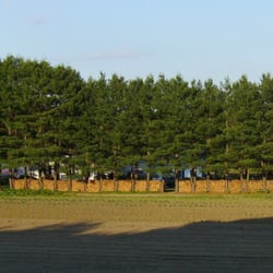 Marshall Farm - View from the field