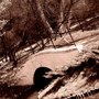 Photo of Park Miejski