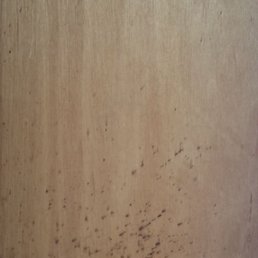 Beach Realty - 6/20/20 black mold or something else? I did not use this drawer. - Property Management Near Me - Kitty Hawk, North Carolina