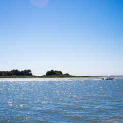 Crisfield City Docks