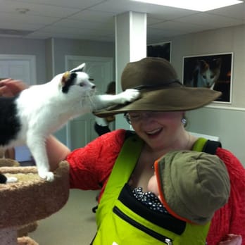 Grayvik Animal Care Center - Friendly cats - Veterinarians Near Me - Key Largo, Florida Grayvik Animal Care Center - Friendly cats - Veterinarians Near Me - Key Largo, Florida