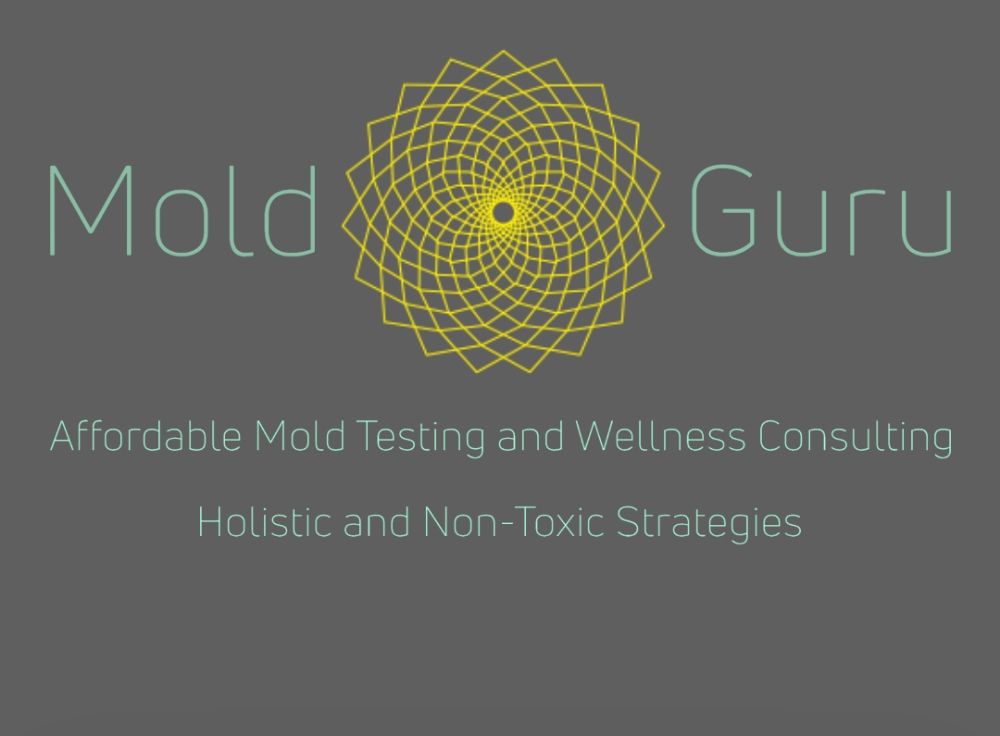 Mold Guru - mold inspector in Jersey City, NJ