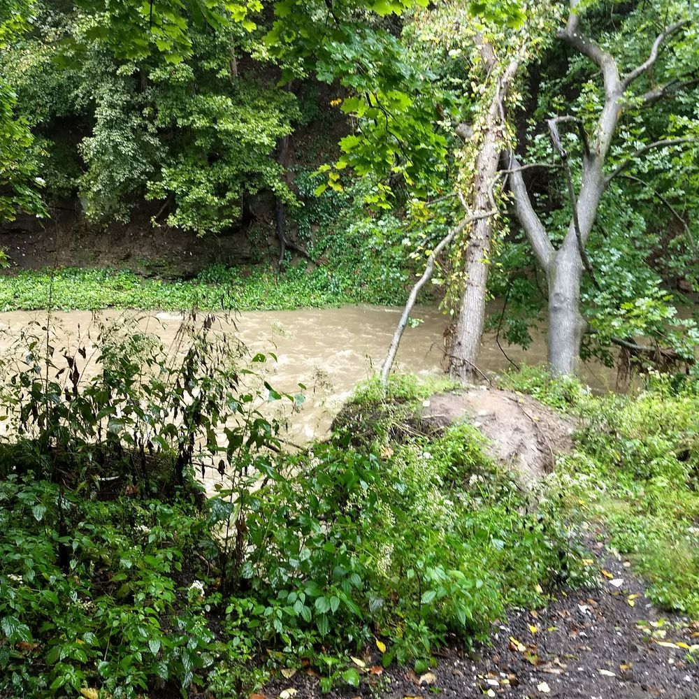 Beechview - Seldom Seen Greenway - Makes me want to buy a kayak! - Parks Near Me - Pittsburgh, Pennsylvania