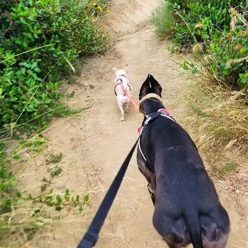 Valido Trail - Hiking Near Me - Laguna Beach, California Valido Trail - Hiking Near Me - Laguna Beach, California