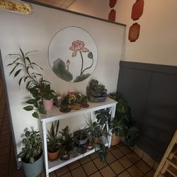 Dragon House