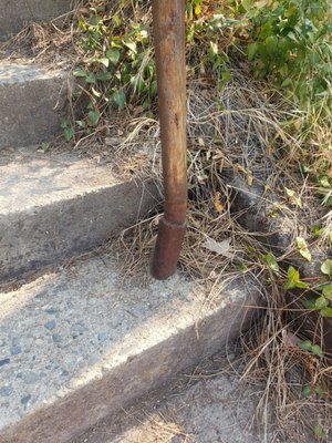 Holiday Harbor - Shasta Lake House Boat Rentals & Marina by null