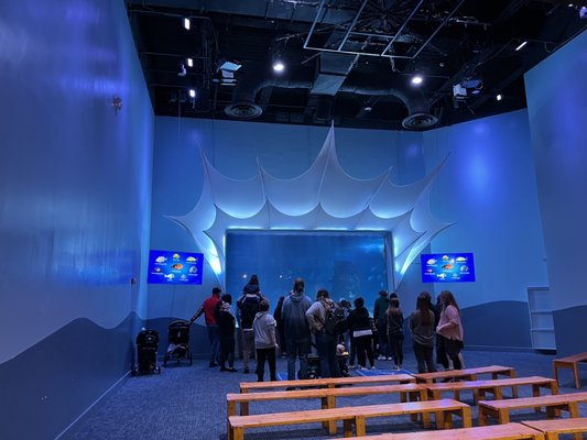 Newport Aquarium by null