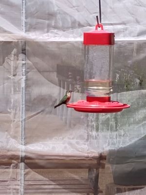 The Arboretum at Flagstaff by null