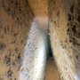 Photo of Northwest Air Duct  Services