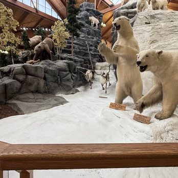 Cabela's - Display in center of the store - Outdoor Gear Near Me - Hamburg, Pennsylvania