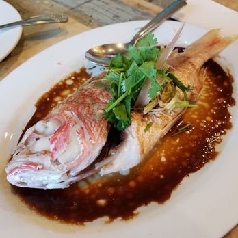ABC Cafe - Steamed red snapper. That sauce! - Dim Sum Near Me - Overland Park, Kansas ABC Cafe - Steamed red snapper. That sauce! - Dim Sum Near Me - Overland Park, Kansas