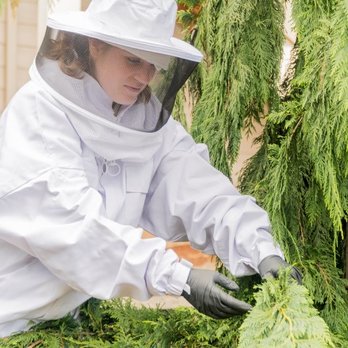 Ehrlich Pest Control - Avoid dangerous stinging insects. Let the specialists at Ehrlich help. Call today for a free estimate. - Pest Control Near Me - Ashland, Virginia Ehrlich Pest Control - Avoid dangerous stinging insects. Let the specialists at Ehrlich help. Call today for a free estimate. - Pest Control Near Me - Ashland, Virginia