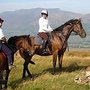 Photo of Rookin House Equestrian and Activity Centre