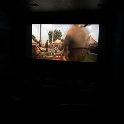 Zephyrhills Cinema 10 - #Dumbo