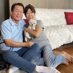 Oahu_Puppies - Complete family