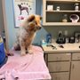 Photo of White River Veterinary Clinic