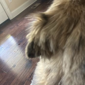 PetSmart - Pet Stores Near Me - Hixson, Tennessee PetSmart - Pet Stores Near Me - Hixson, Tennessee