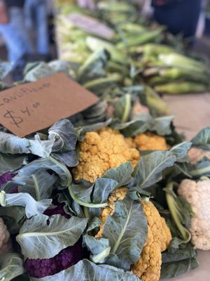 Minneapolis Farmers Market by null