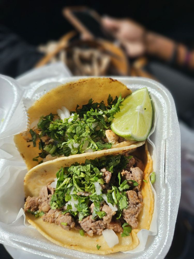 Lapota's Taqueria Logo