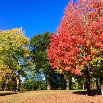 Central Park Conservancy - Parks Near Me - New York, New York Central Park Conservancy - Parks Near Me - New York, New York