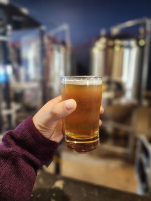 Audacious Aleworks Brewery by null