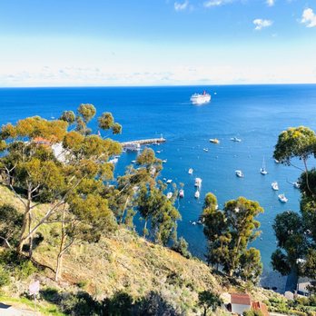 Catalina Island - Local Flavor Near Me Catalina Island - Local Flavor Near Me