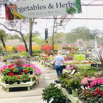 Hagan Ace - Our beautiful garden area - Hardware Stores Near Me - St Augustine, Florida