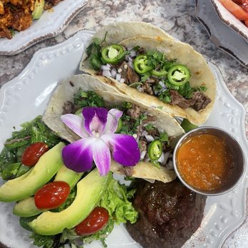 Harvest Kitchen & Bakery - Brisket Tacos - Breakfast & Brunch Near Me - Katy, Texas Harvest Kitchen & Bakery - Brisket Tacos - Breakfast & Brunch Near Me - Katy, Texas