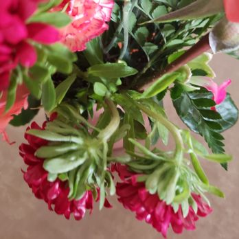 Gainesville Floral Exchange - Flowers - Florists Near Me - Gainesville, Florida