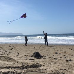 Catch the Wind