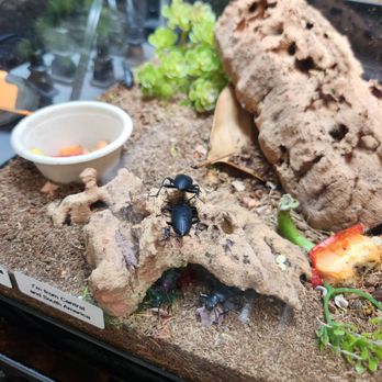 PORTLAND INSECTARIUM - Updated March 2026 - 44 Photos - 5429 N Moore ...
