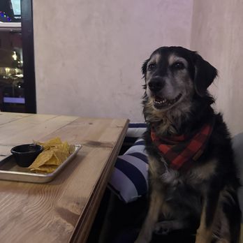 Maggie’s Place - Dog friendly! - Tacos Near Me - Nashville, Tennessee Maggie’s Place - Dog friendly! - Tacos Near Me - Nashville, Tennessee