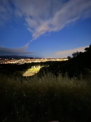 Amir's Garden by null