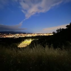 Amir's Garden - View on the way down