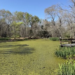 Armand Bayou Hike and Bike Trail