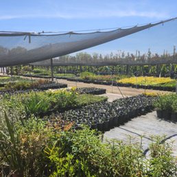 The best place to go to for plant lovers !!!!