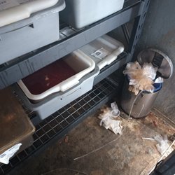 Chevron - That's how they store the raw chicken that they keep next to the beer. Everyday that's not as bad as the rest of what I saw