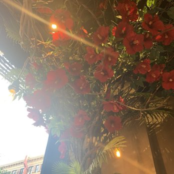 Chu Ros Thai - Thai Near Me - New York, New York