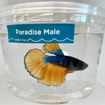 Petco - 2023 - Pet Stores Near Me - Virginia Beach, Virginia