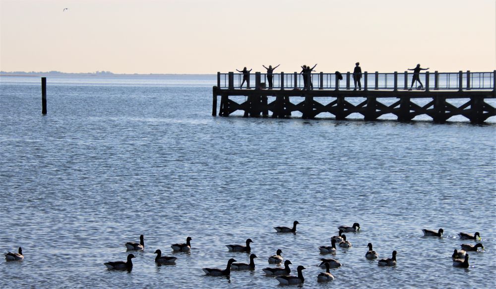 TANNER PARK 277 Photos & 33 Reviews Tanner Park, Copiague , New