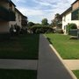 Olive Tree Apartments
