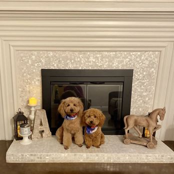The Pretty Puppy - Cute bandannas/scarfs for seasonal themes. - Pet Groomers Near Me - Ontario, California