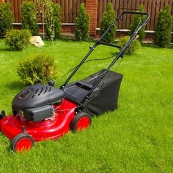 Coleford Garden Centre