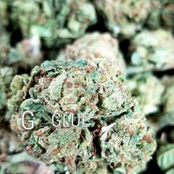 Valley Meds