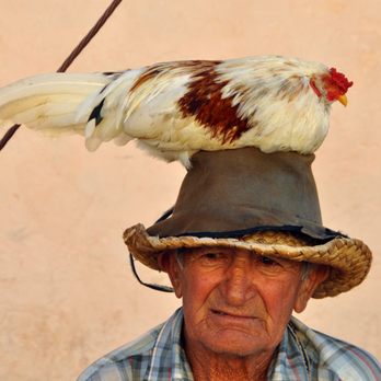 My Amigo In Cuba - Trinidad Cuba - Travel Services Near Me My Amigo In Cuba - Trinidad Cuba - Travel Services Near Me