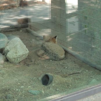 The Living Desert - Zoos Near Me - Palm Desert, California The Living Desert - Zoos Near Me - Palm Desert, California