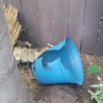 Mateo Diego - Broken pot next to palm tree. - Tree Services Near Me - Escondido, California Mateo Diego - Broken pot next to palm tree. - Tree Services Near Me - Escondido, California