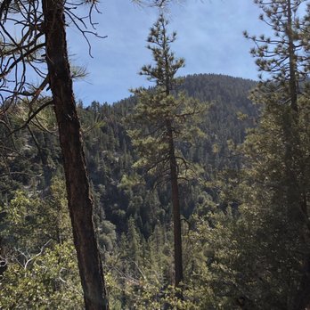 Ziplines at Pacific Crest - Ziplining Near Me - Wrightwood, California Ziplines at Pacific Crest - Ziplining Near Me - Wrightwood, California